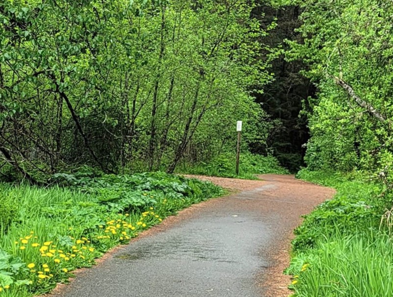 Paved trail leading into trees