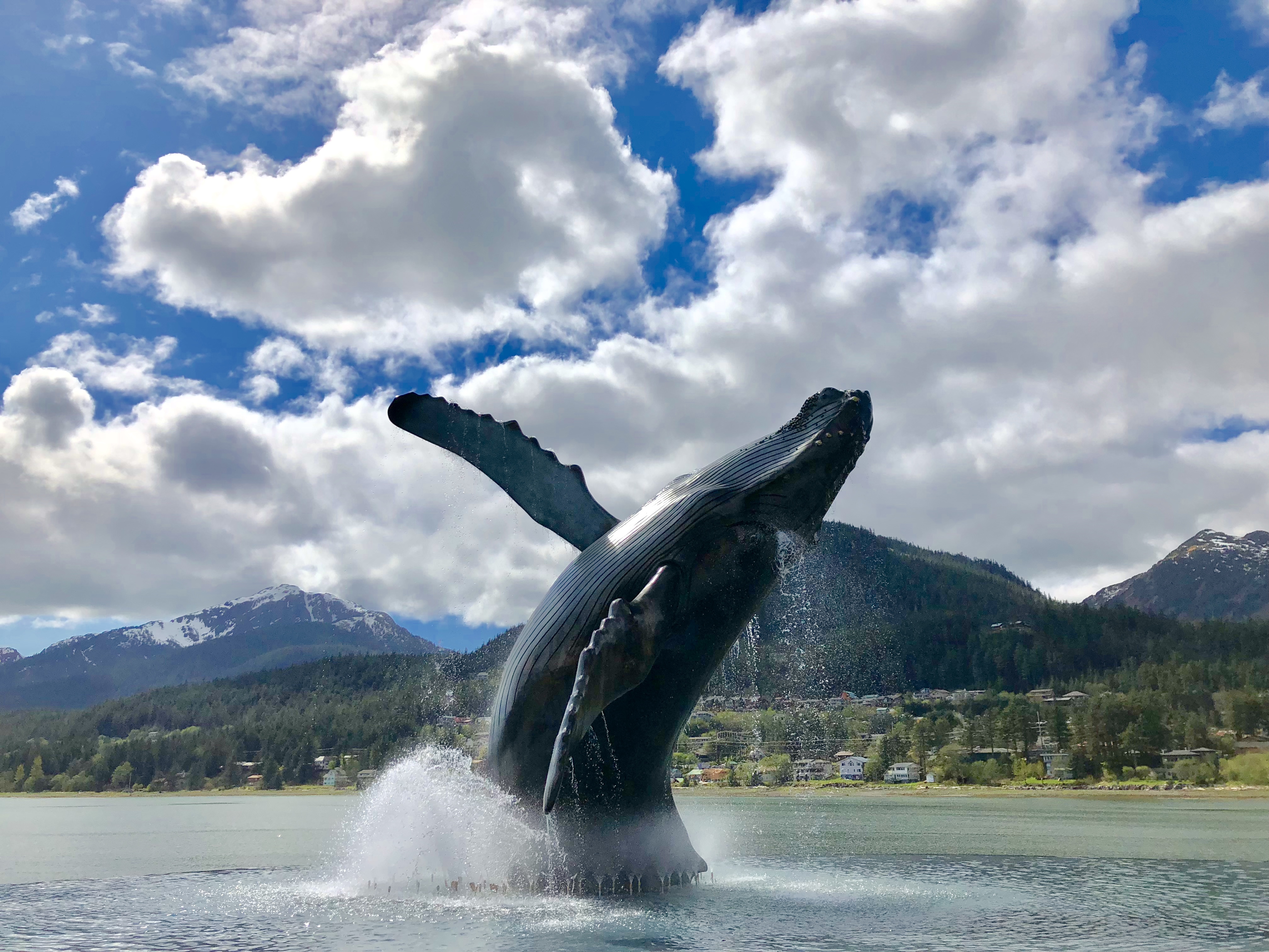 Commercial Recreation Use Analysis