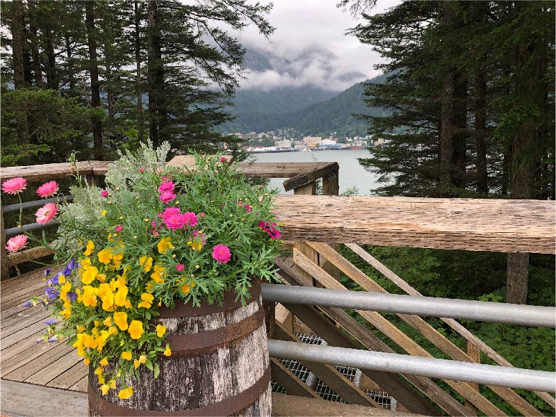 Flower barrel at the entrance to Homestead Park with downtown Juneau in the background.