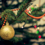 Closeup photo of a tree branch hung with ornaments