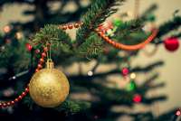 Closeup photo of a tree branch hung with ornaments