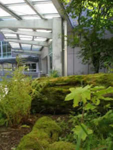 The Rain Forest Garden is located on the north side of the terminal's main entrance.