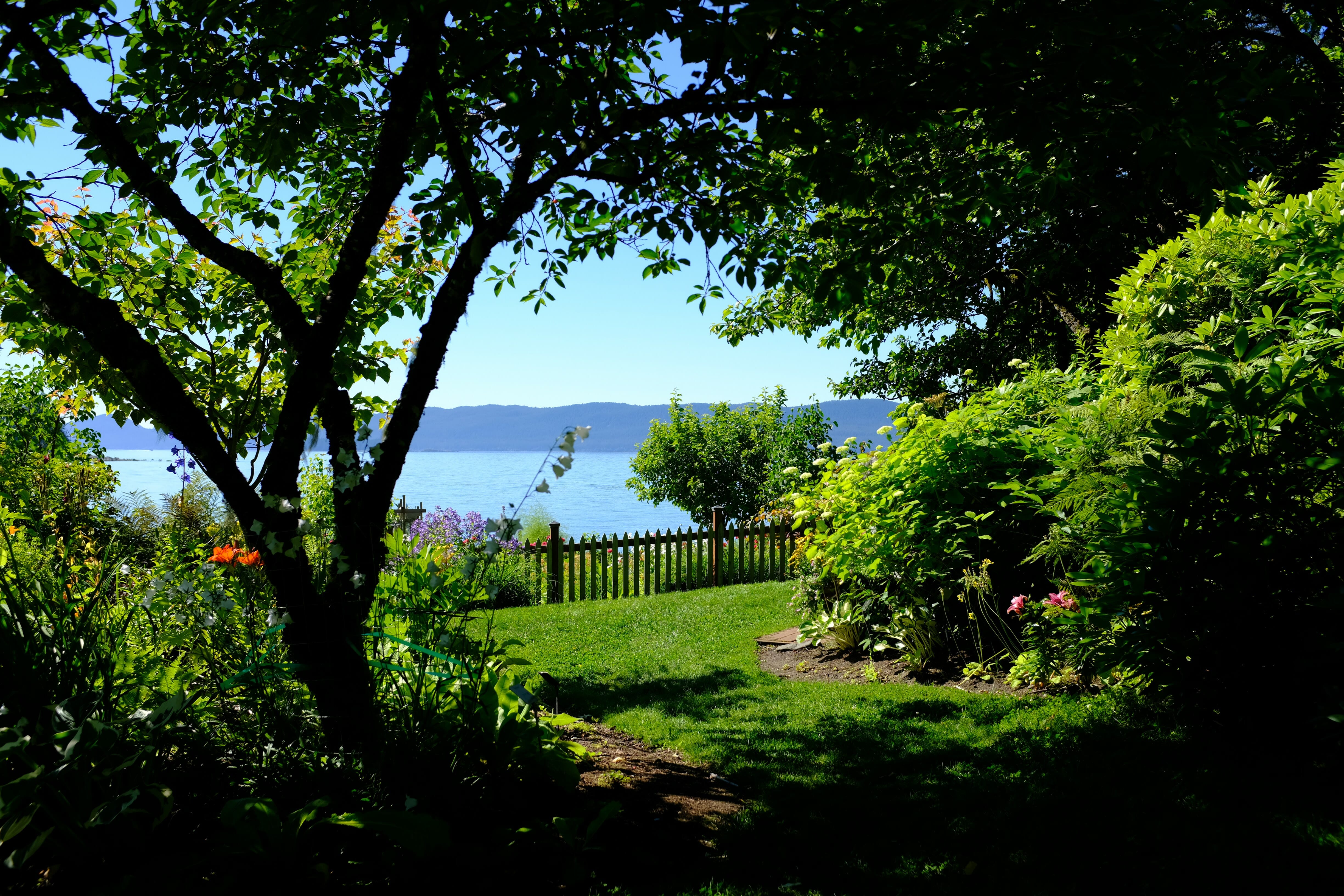 Shadow-framed view of pathway with ocean in the distance - Arboretum