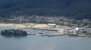 Aerial view of Douglas Harbor