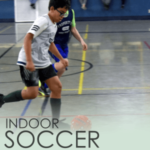 Indoor Soccer Icon
