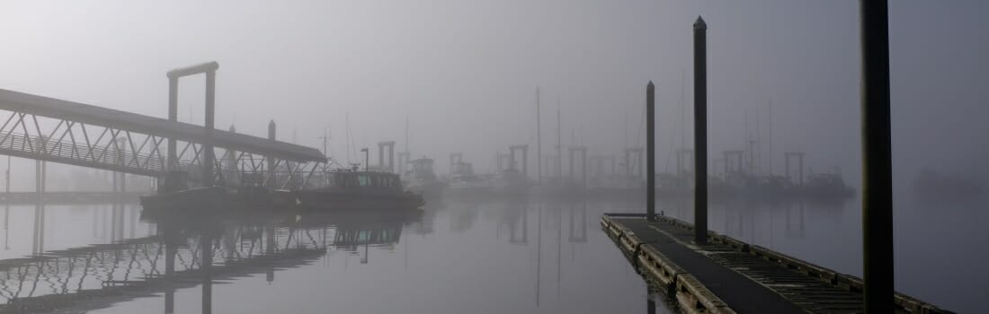 Fog at Statter Harbor