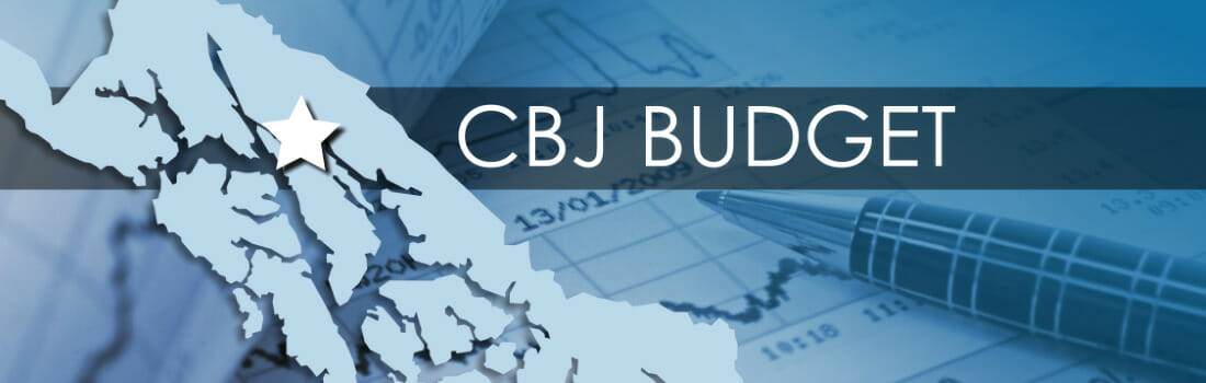 CBJ Budget Graphic - shows a graphic depiction of map of Southeast Alaska with a star in Juneau's location and the words 'CBJ Budget' in the background.