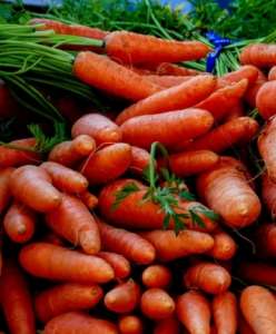 Carrots at farmers market.