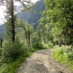 This is a photo of Perseverance Trail.