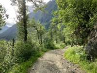 This is a photo of Perseverance Trail.