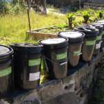 This is a picture of several Juneau Composts! compost buckets lined up on a rock wall.