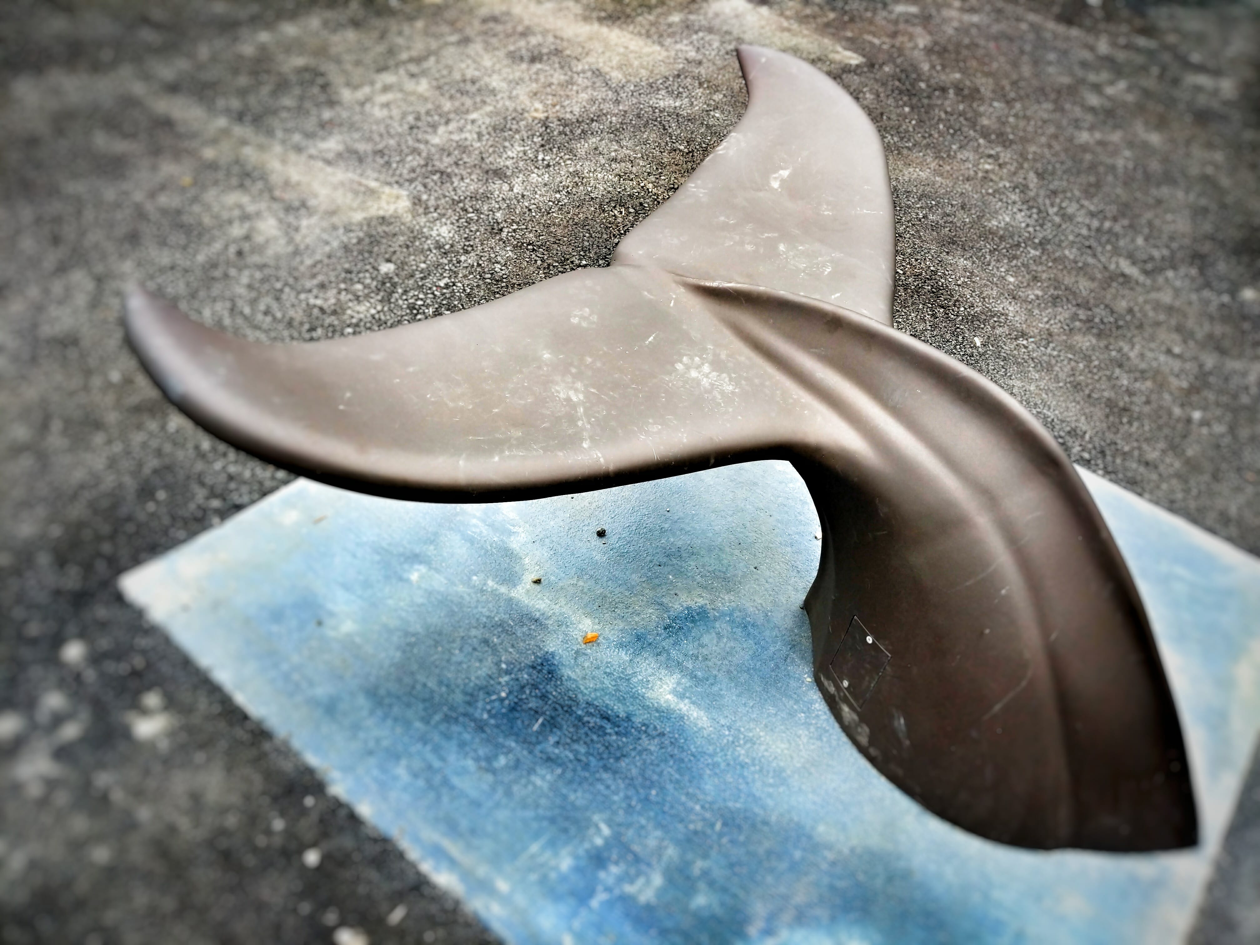 Whale Tail bench at Overstreet Park