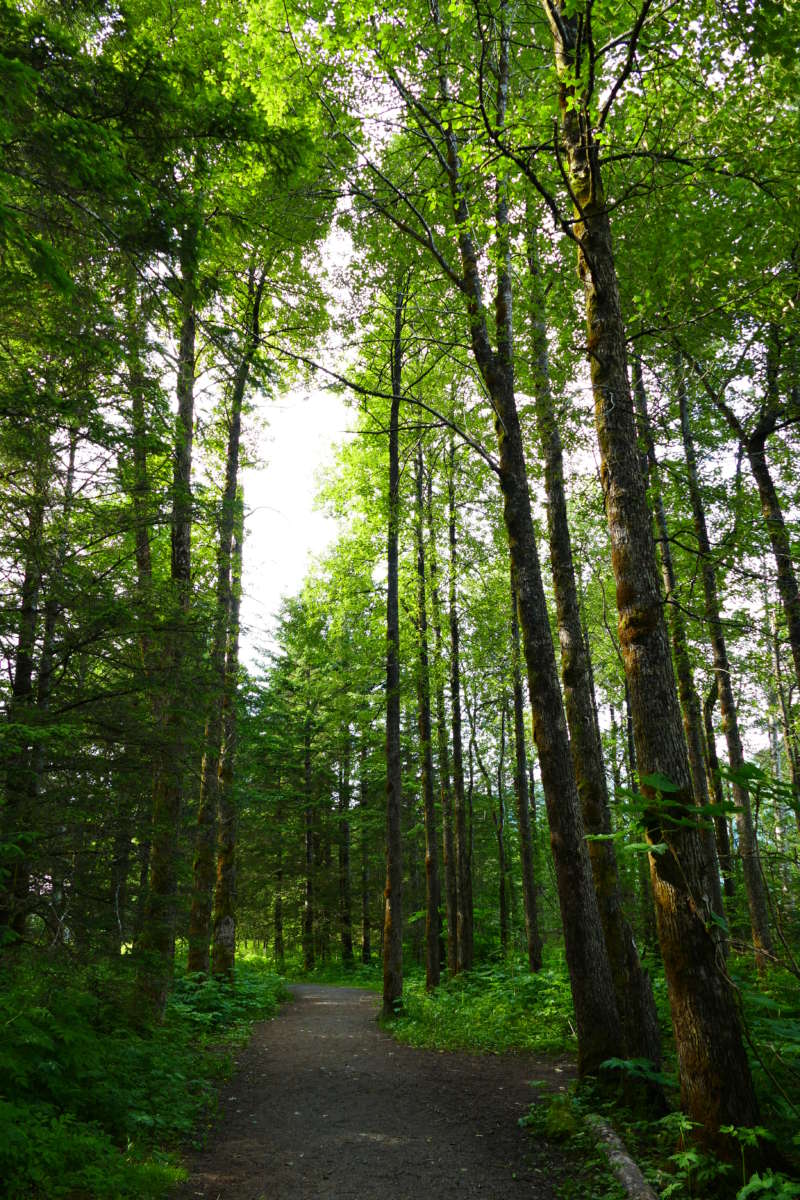 P&R – Savikko Park – City and Borough of Juneau