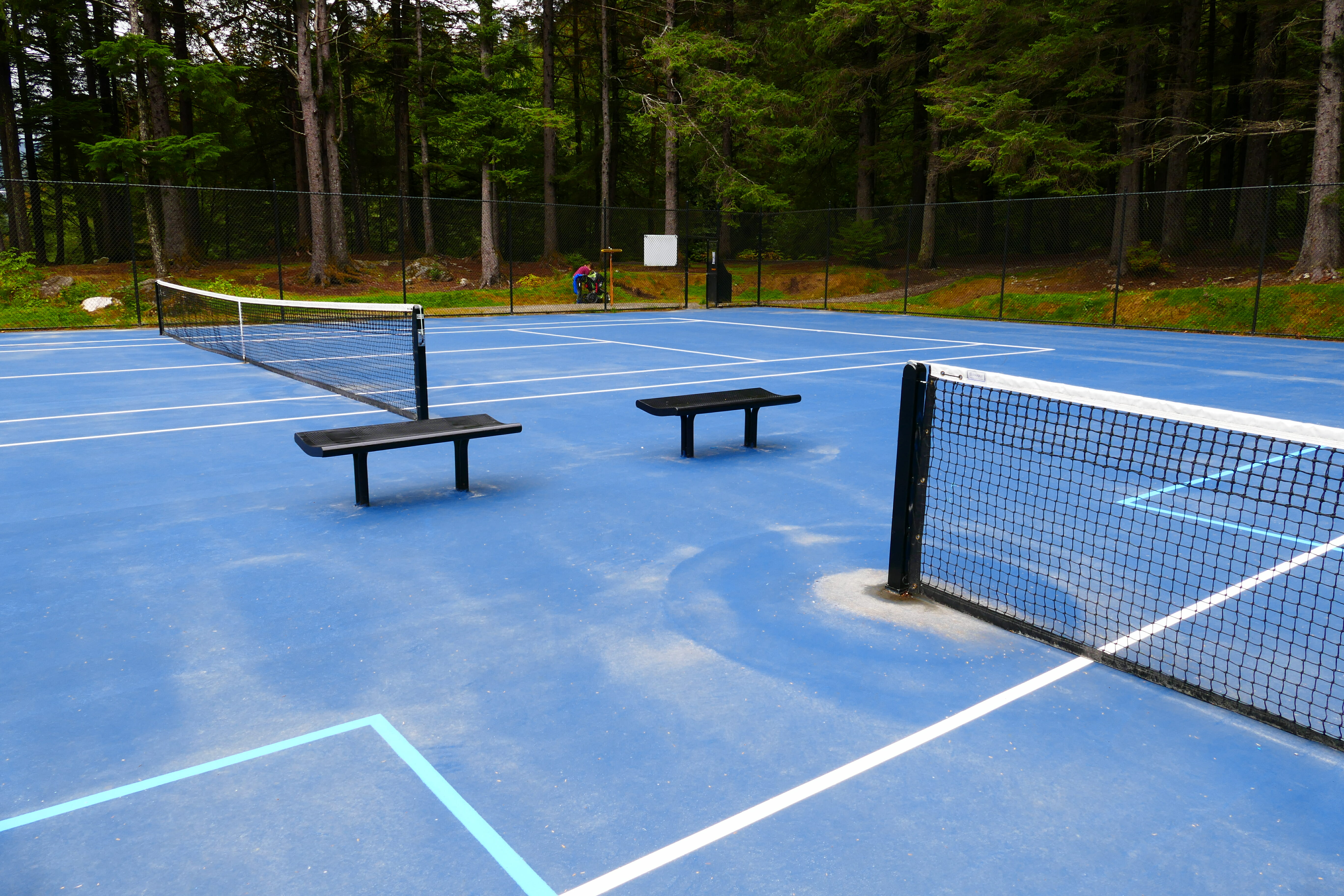 Tennis/Pickleball Courts in Cope Park
