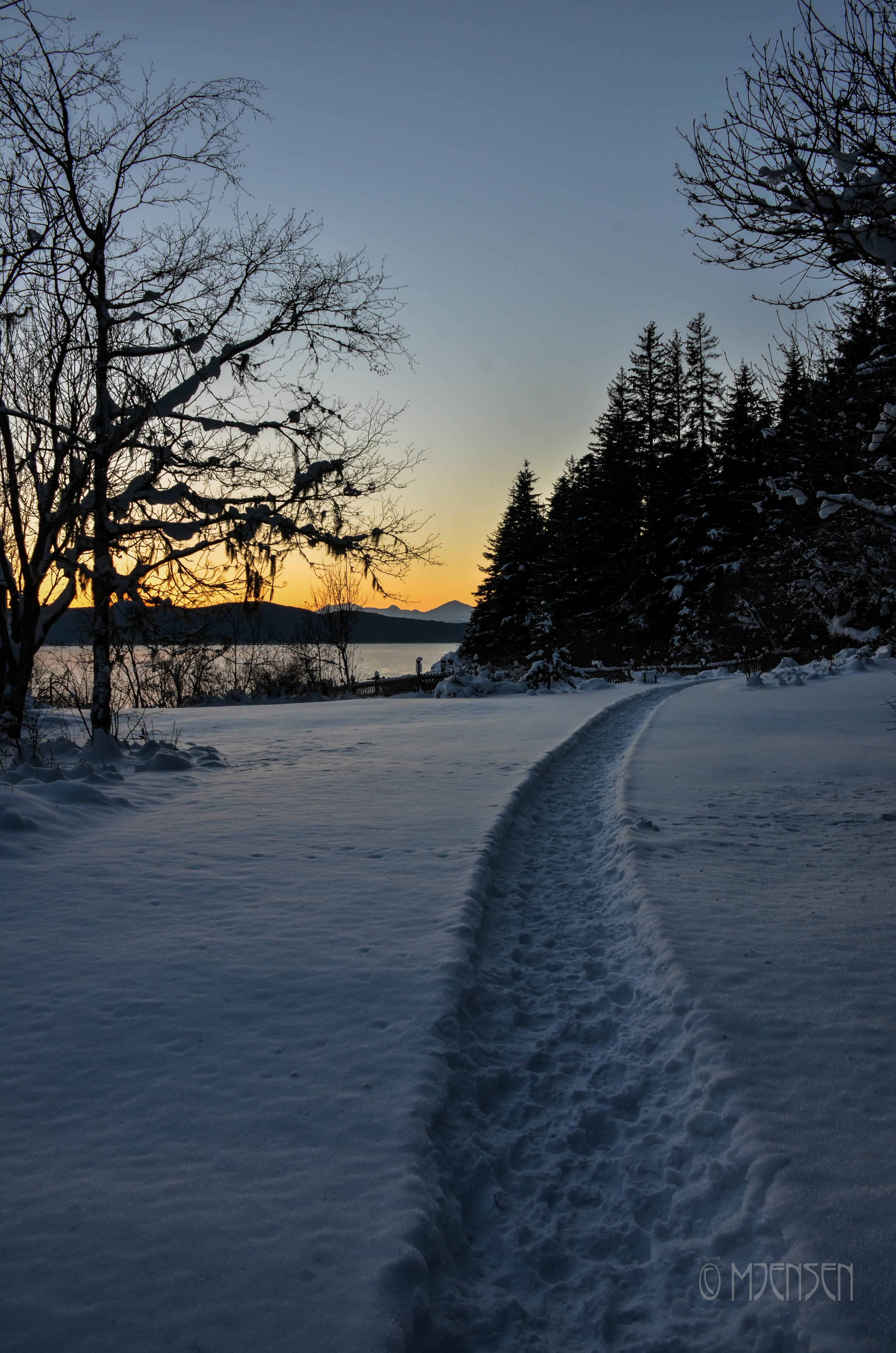 Winter sunset with a path through the snow at the Arboretum.