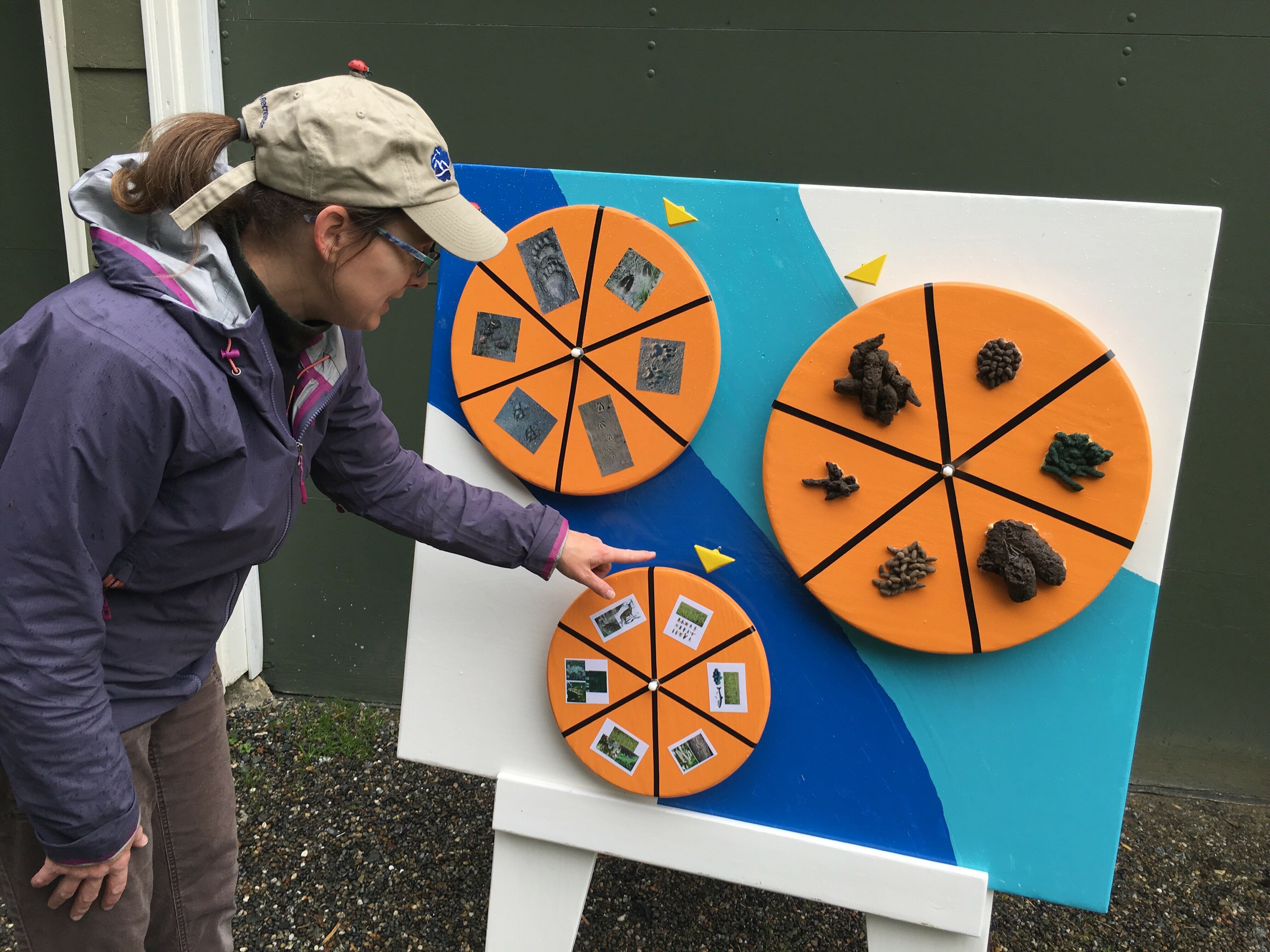 A women checks out the interactive display of scat during Poop in the Park at the Arboretum.