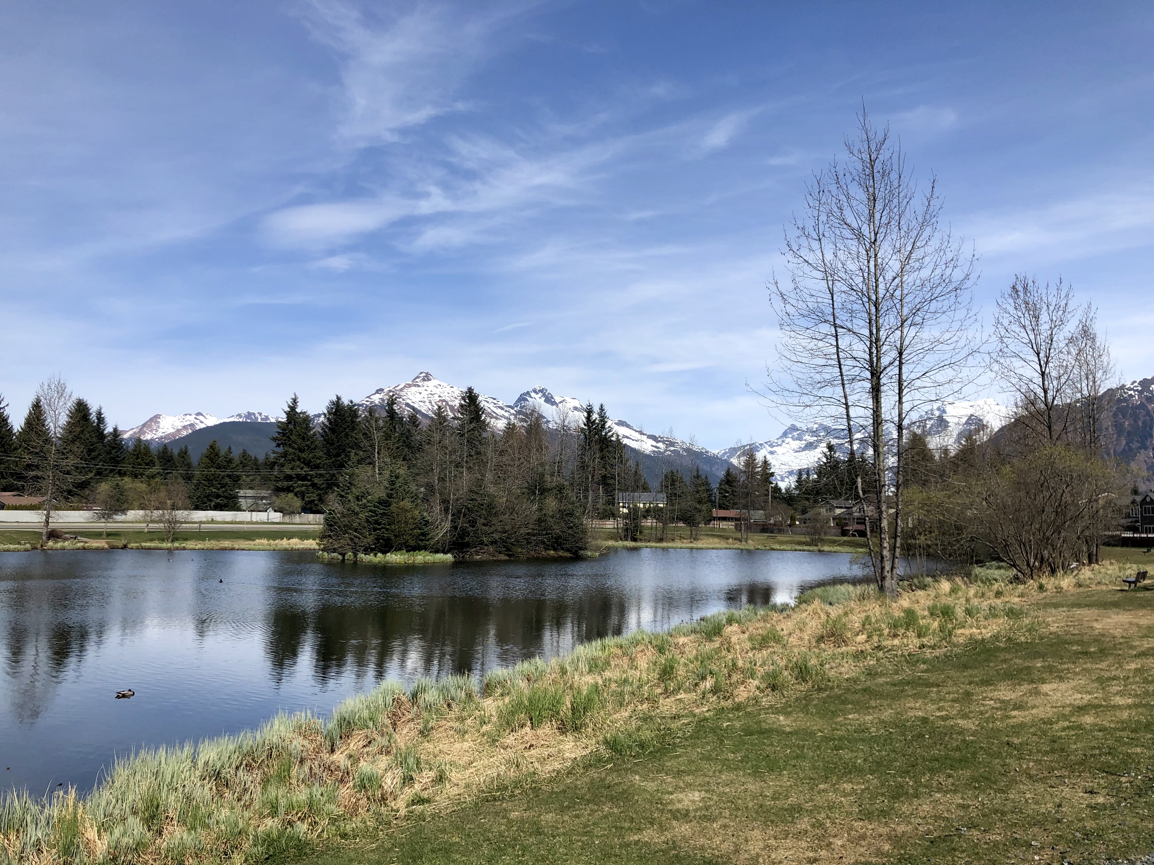 Riverside Rotary Park with snow capped mountains in the background.