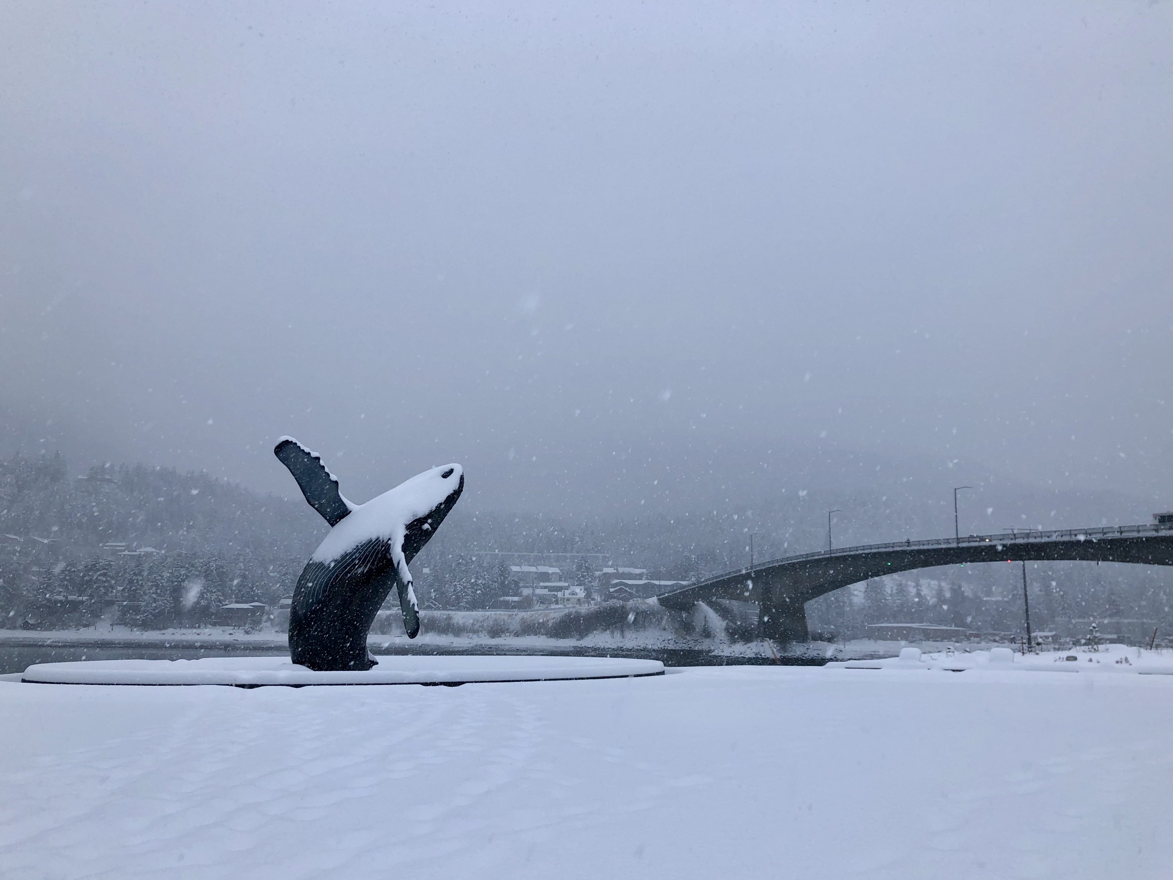 The whale statue covered in snow on an overcast day.
