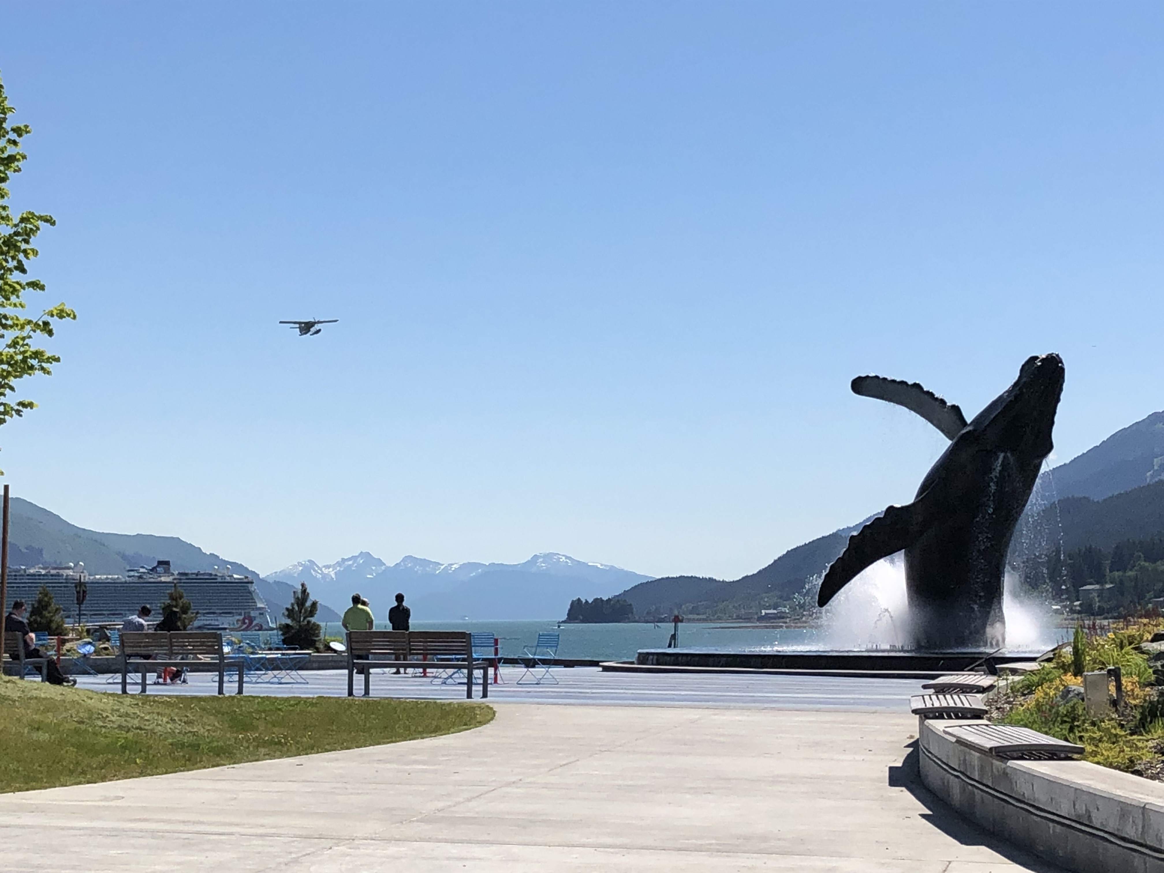 A sunny day at Overstreet Park with the whale statue, people and a float plane on departure.