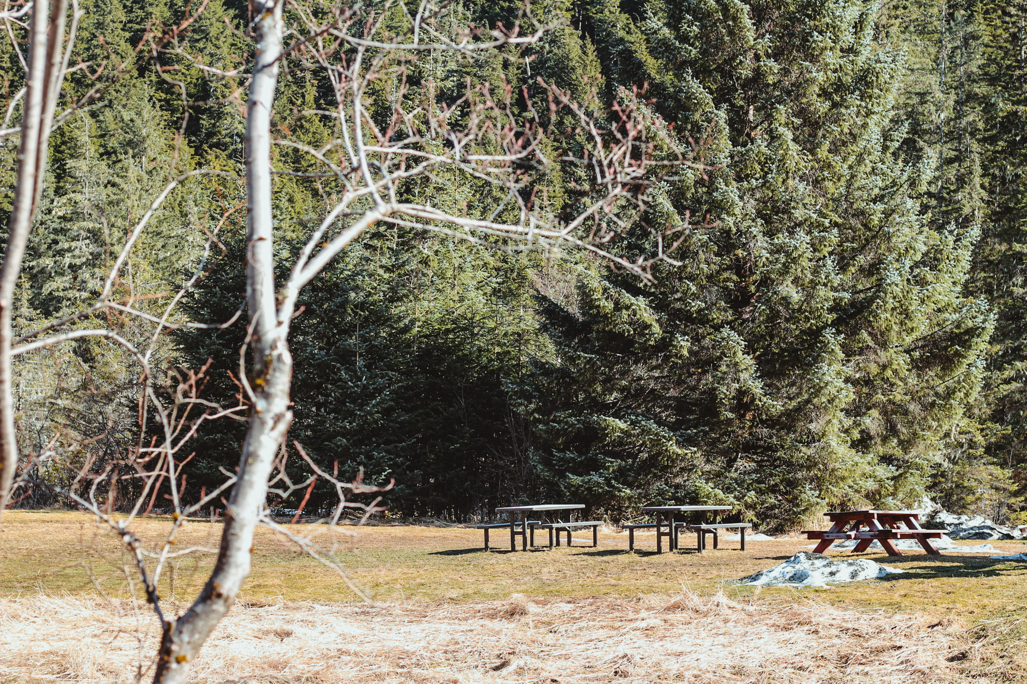 Picnic area at the Eagle Valley Center
