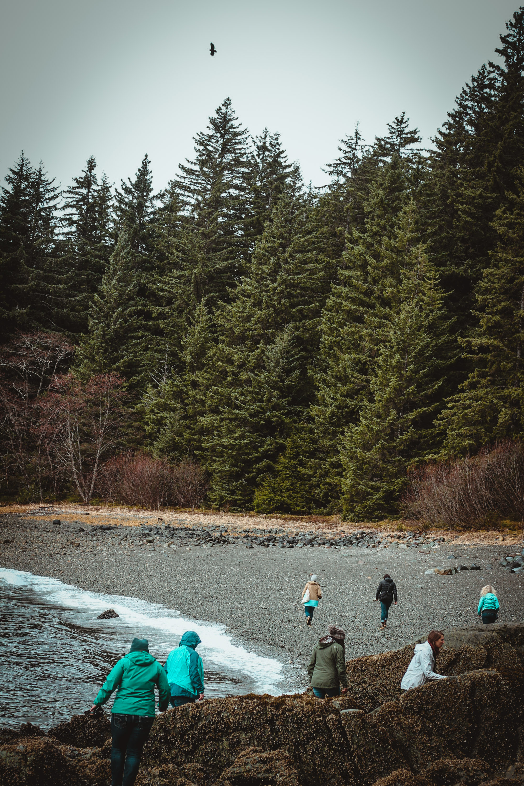 People exploring the beach near the Eagle Valley Center.