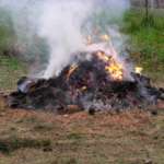This is a picture of a burning debris pile