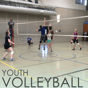 vollyeball category image - links to youth volleyball page.