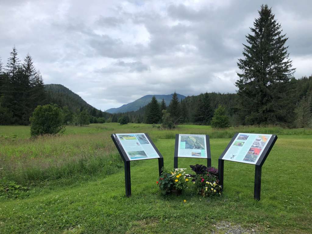 EVC Amalga Meadows Interpretive Signs summer