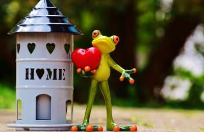 toy frog holding heart next to a toy house