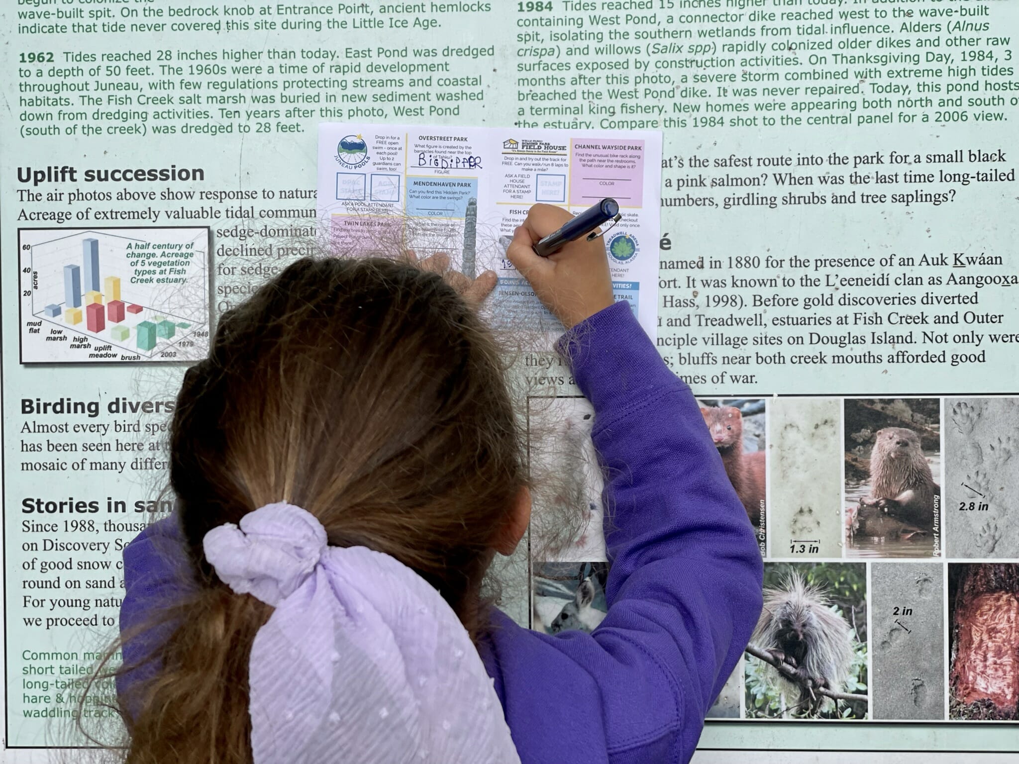 A girl filling out her Passport to Play at an interpretive sign at Fish Creek Park.