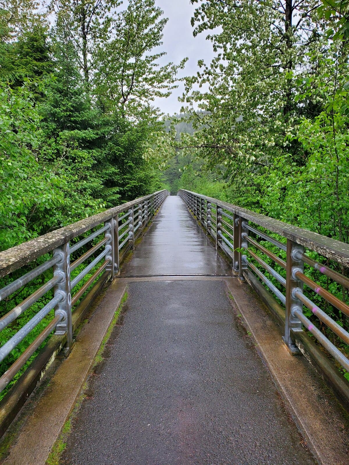 Walk Southeast participant photo of a wet bridge on a trail.