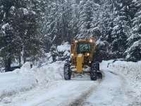 A plow drives down a snowy tree-lined road