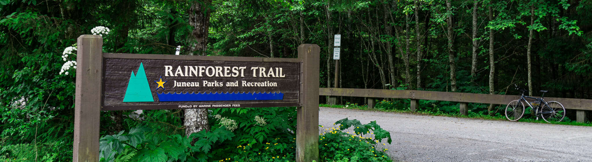 Rainforest Trail_1