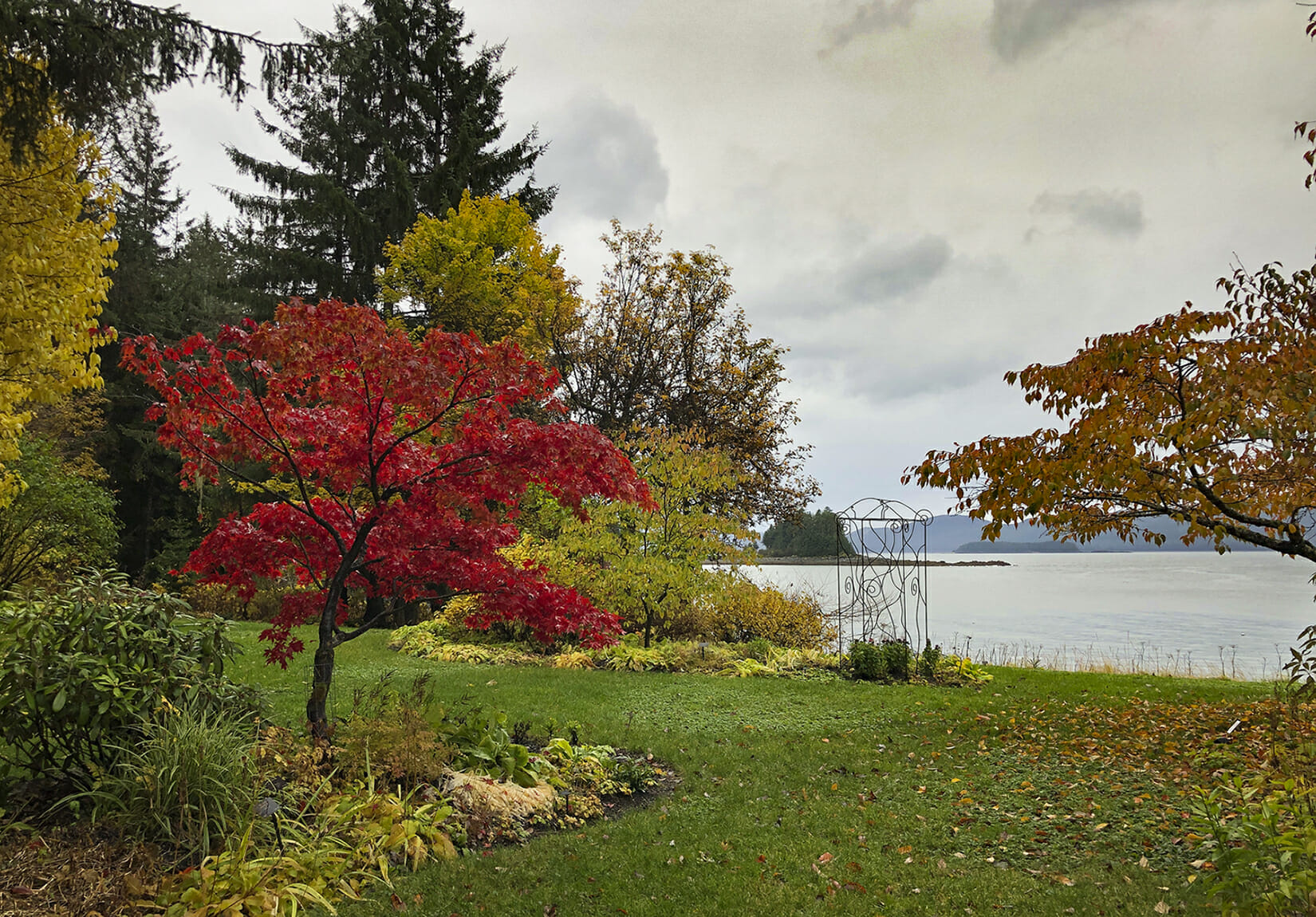 Jensen-Olson Arboretum views