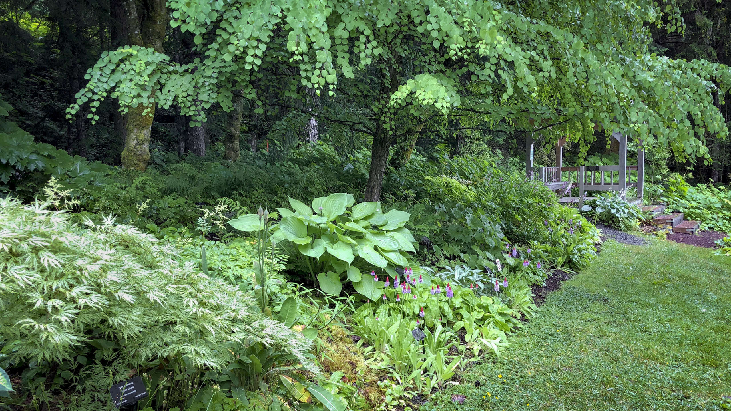 Jensen-Olson Arboretum views