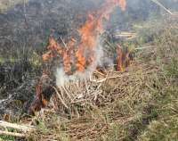 image of grass burning