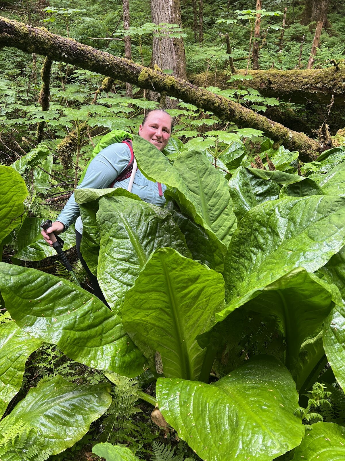 Walk Southeast 2022 participant in the middle of the Skunk Cabbage.
