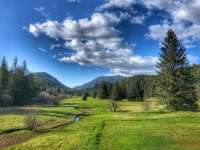Photo of grassy Amalga Meadows Park with trees and mountains in background