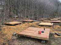 Photo of Mill Campground in fall