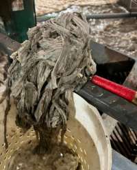 Photo of mop head extracted from wastewater
