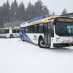 Capital Transit buses parked in snowy lot