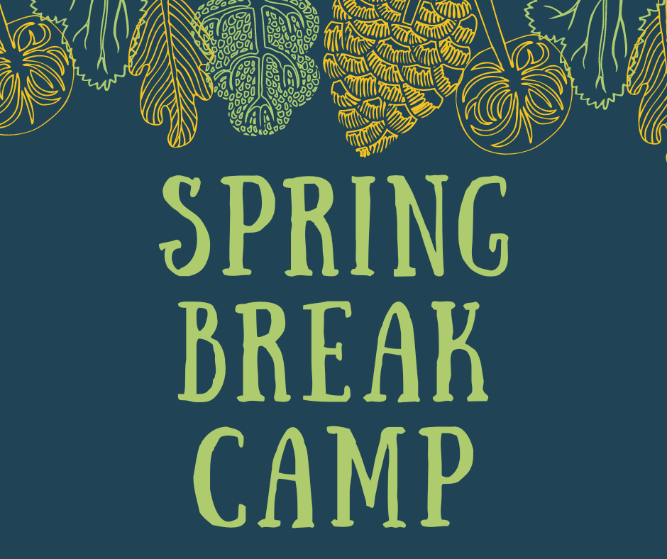 Spring Break Camp