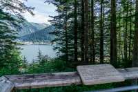 View from Homestead Park through spruce trees to water