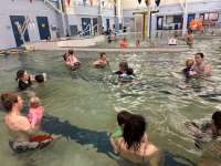 Photo of several adults, each holding a small child, in the pool