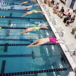 Photo of competitive swimmers diving into the pool