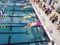 Photo of competitive swimmers diving into the pool