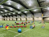 Rows of toys arranged neatly on the Field House turf