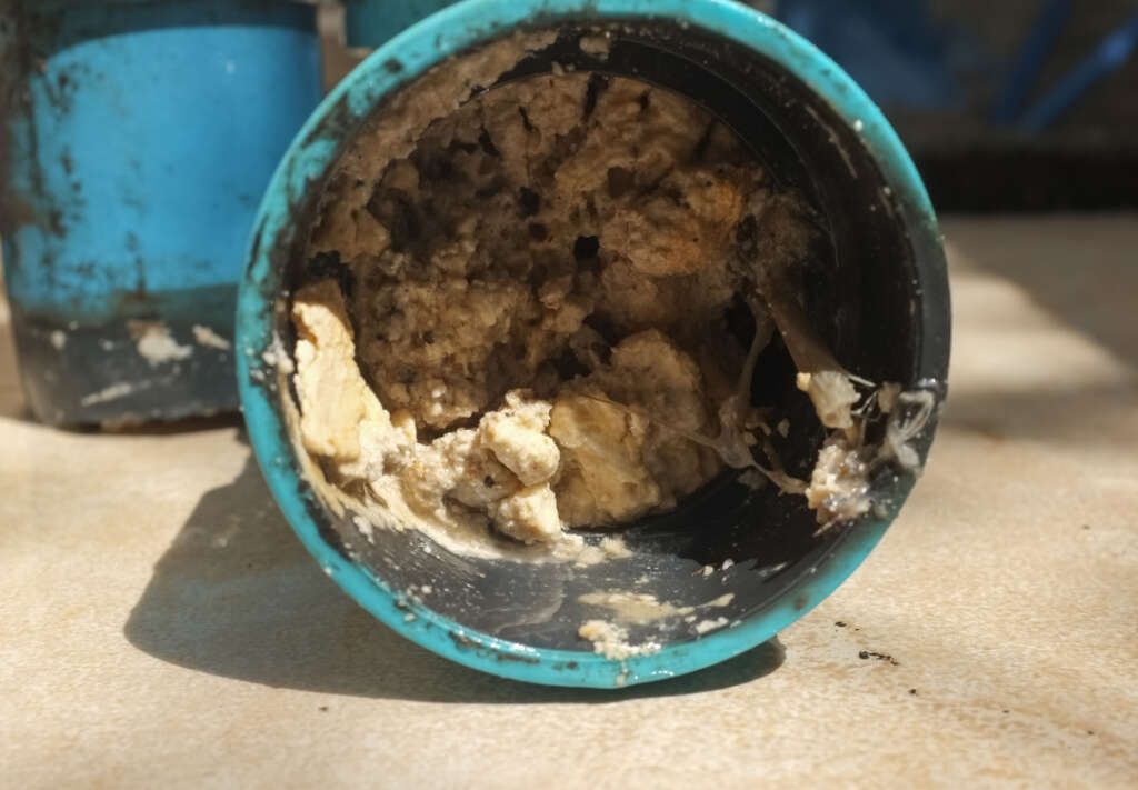Sewer pipe clogged with fats, oils, and greases.