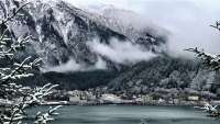 View of downtown Juneau in light snow from across Gastineau channel, framed by snow-encrusted tree branches.