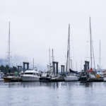 Photo of boats in harbor on cloudy day